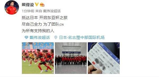 清末，国度不治，潮剧紊乱，平易近不聊生，列强加害。满族官员同心专心想着吃喝玩乐，却掉臂苍生死活，对内榨取，对外谄媚。平易近间鼓起技击之风，燕子门，洪武镖局，都是赫赫着名的江湖门派，何如义和拳活动后期都被朝廷的“十三鹰”灭门，有燕子门人李三幸免于难，寻下报仇多年未果，遇佳人白灵反被诬告成革命党，家仇国恨，终究他烧了衙门，灭了十三鹰，南下救亡